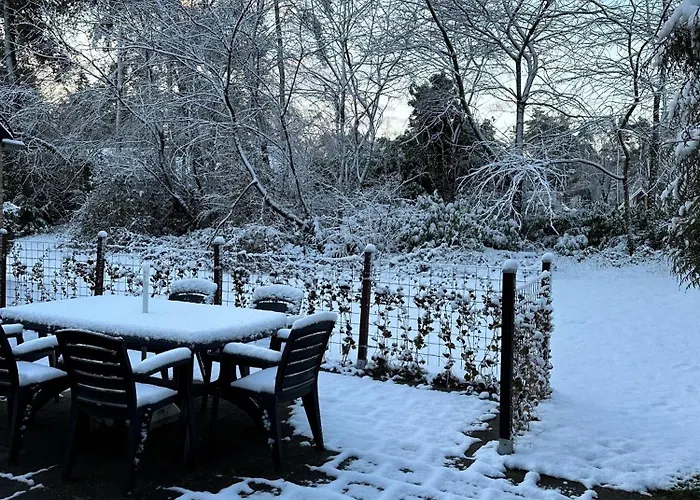 別荘 Recreatiebungalow