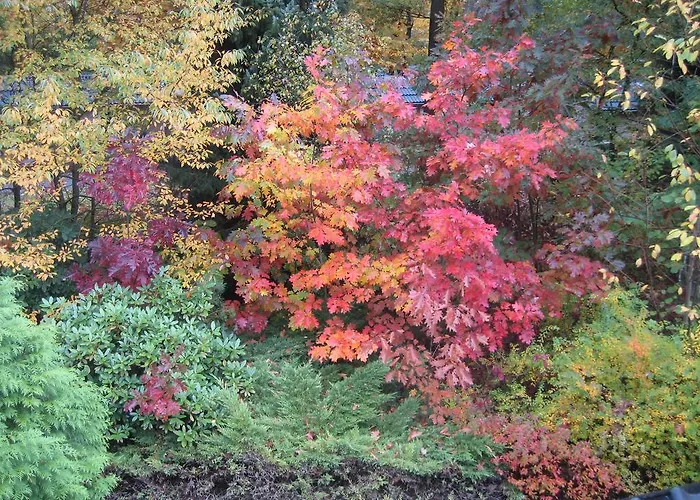 Ferienhaus Recreatiebungalow *