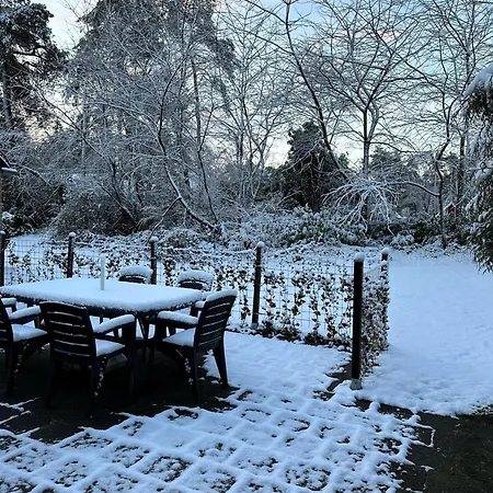 בית נופש Recreatiebungalow