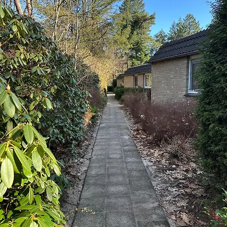 Recreatiebungalow בית נופש *